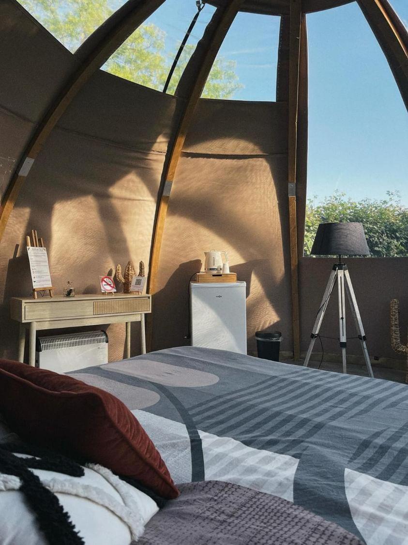 Sorde-lʼAbbaye Les Nuits De Cassiopee B&B 객실 사진